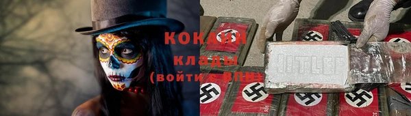 кокс Бородино