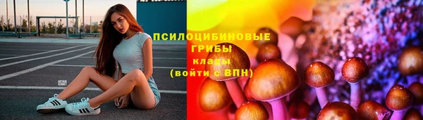 кокс Бородино