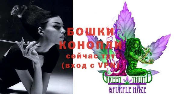 кокс Бородино
